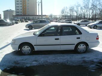 1999 Toyota Corolla