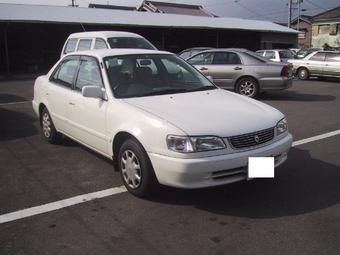 1999 Toyota Corolla