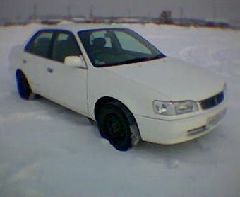 1999 Toyota Corolla