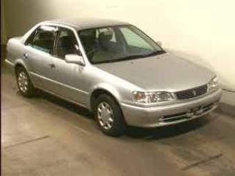 1999 Toyota Corolla