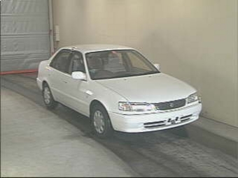 1999 Toyota Corolla