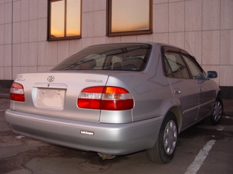 1999 Toyota Corolla