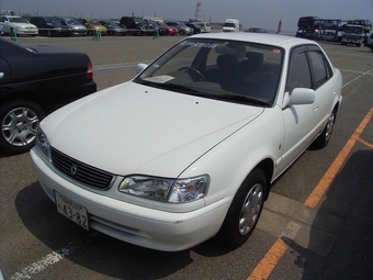 1999 Toyota Corolla