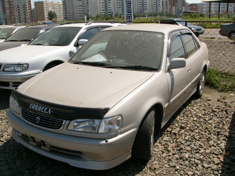 1999 Toyota Corolla