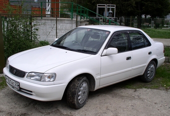 1999 Toyota Corolla