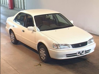 1999 Toyota Corolla