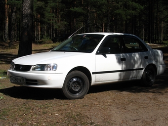 1999 Toyota Corolla
