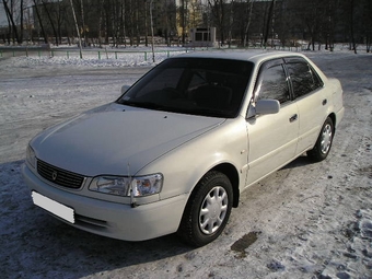 1999 Toyota Corolla