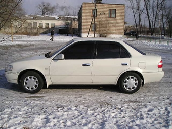 1999 Corolla