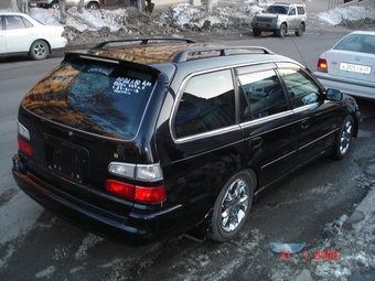 Corolla