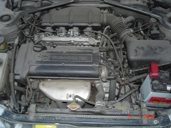 1999 Corolla