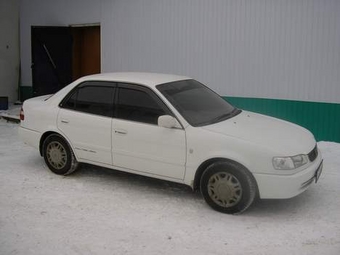 Corolla