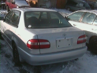 Corolla
