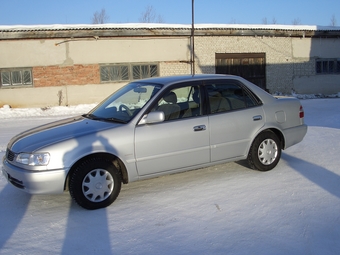 1999 Toyota Corolla