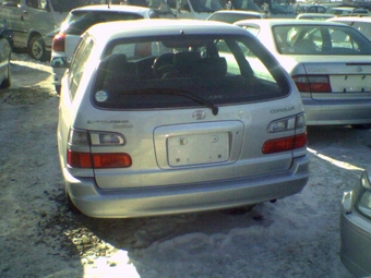 1999 Corolla