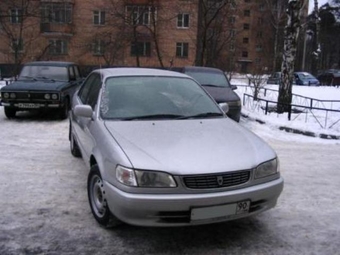 Corolla
