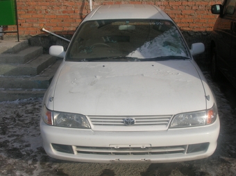 Corolla