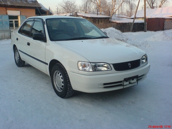 1999 Toyota Corolla