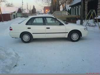 Corolla