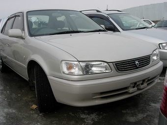 1999 Toyota Corolla