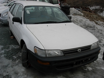 1999 Toyota Corolla