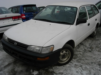 Corolla