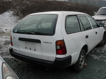 1999 Corolla