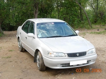 1999 Toyota Corolla