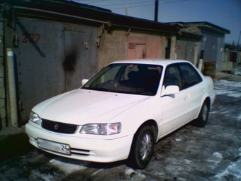 1999 Toyota Corolla