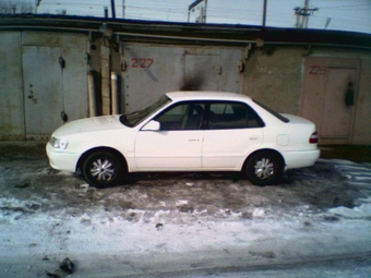 Corolla