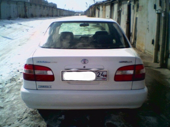 1999 Corolla