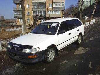 1999 Toyota Corolla