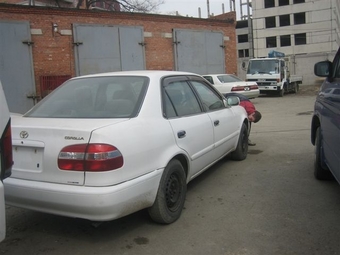Corolla