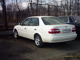1999 Toyota Corolla