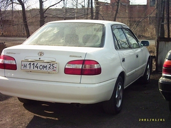 Corolla