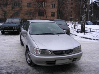 Corolla