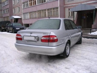 1999 Corolla