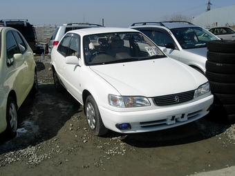 Corolla