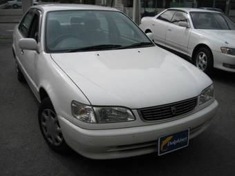 1999 Toyota Corolla