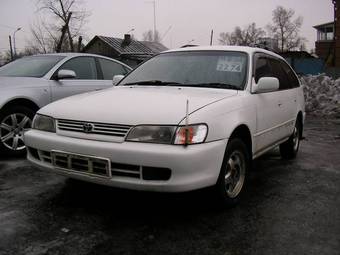 Corolla