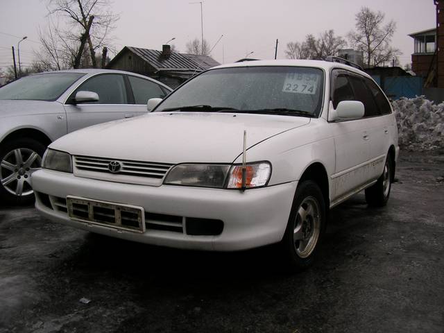 1999 Toyota Corolla