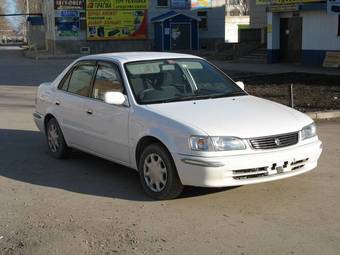 1999 Toyota Corolla