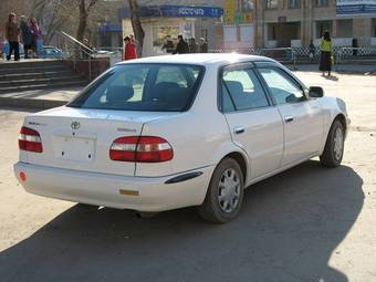 Corolla