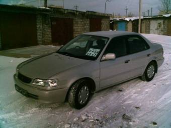 1999 Corolla