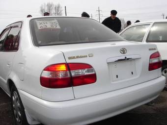 Corolla