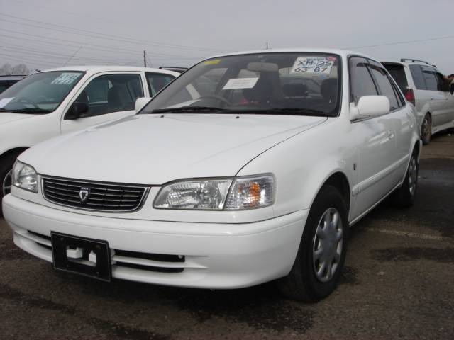 1999 Toyota Corolla