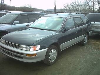 1999 Toyota Corolla