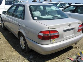 Corolla