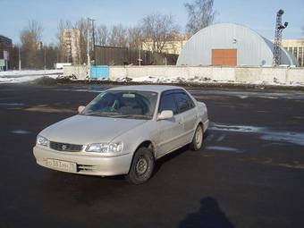 Corolla
