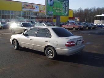 1999 Corolla